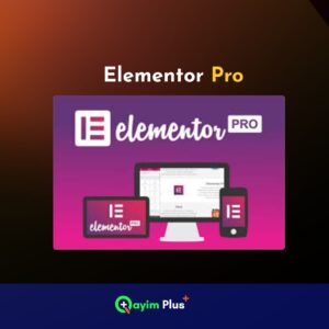 Elementor Pro